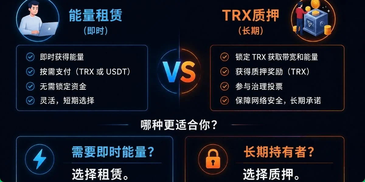 TRON 能量租赁与 TRX 质押对比图，展示即时租赁和长期质押的区别