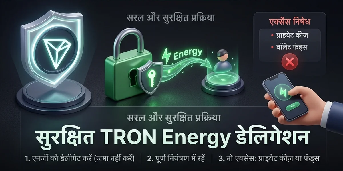 सुरक्षित TRON Energy डेलिगेशन